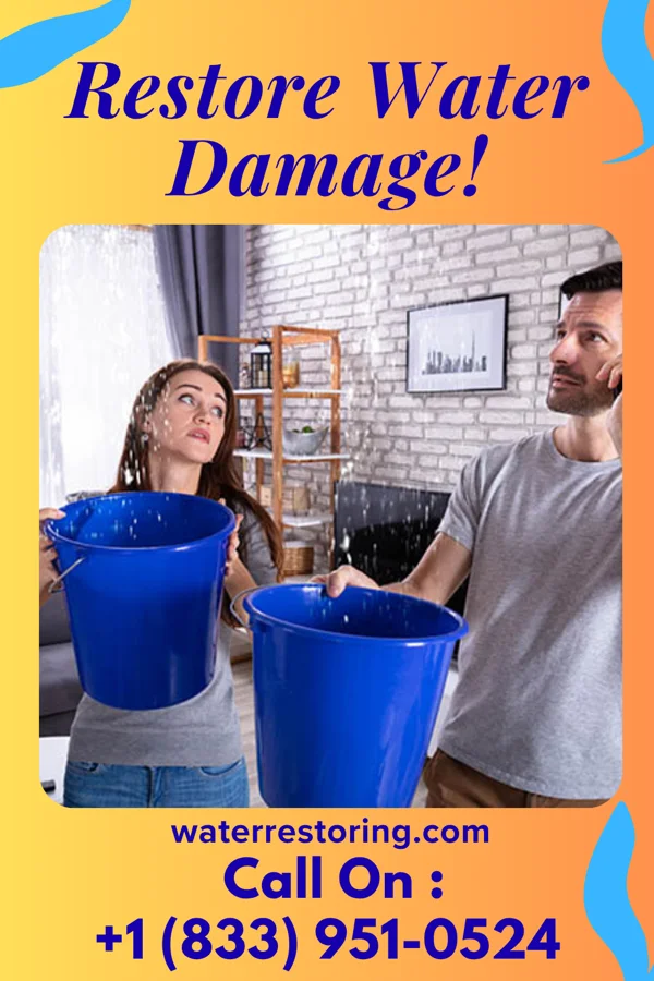 water restoration Golden Damage Recovery Network Virden