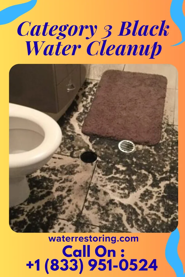 Category 3 Black Water Cleanup in Virden, NM