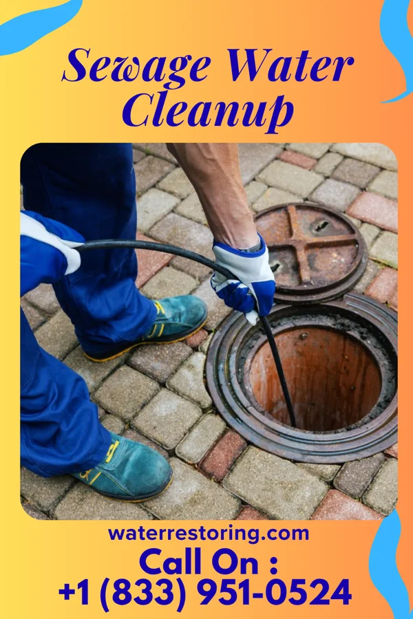 Sewage Water Cleanup in Virden, NM